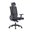 Ergonomic Office Chair