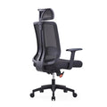Ergonomic Office Chair
