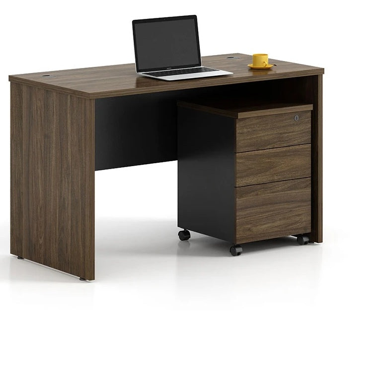 Employee Desk – No Drawers, Wood Rear Modesty Panel – ED 21